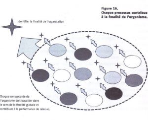 processus-dd